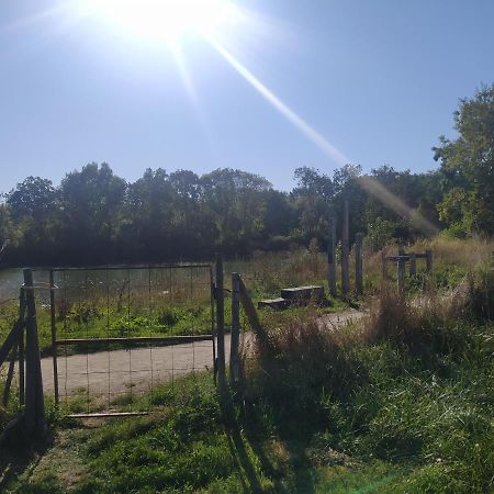 Gite La Pironniere - Piscine, Nature, Au Bord De La Riviere Montreuil-sur-Maine Bagian luar foto
